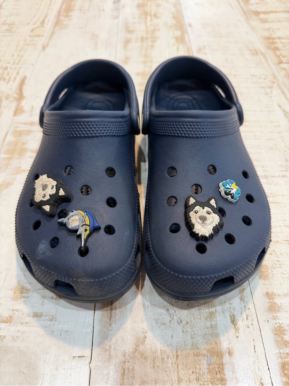 CROCS Men's Navy Blue Clogs with Decorative Jibbitz Charms M 6 / W 8